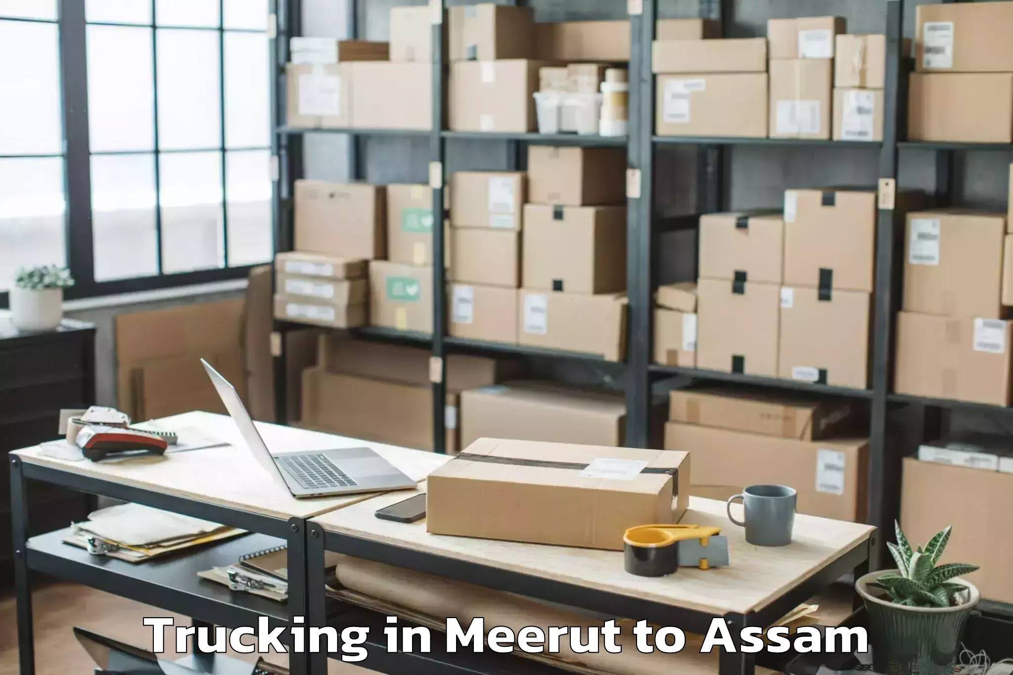 Book Meerut to Rangia Trucking Online